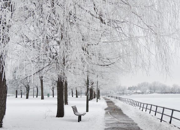 COMM 2014 Hiver CR Bill MAJOR Paysage Parc Marcil Delpha Sauve 2