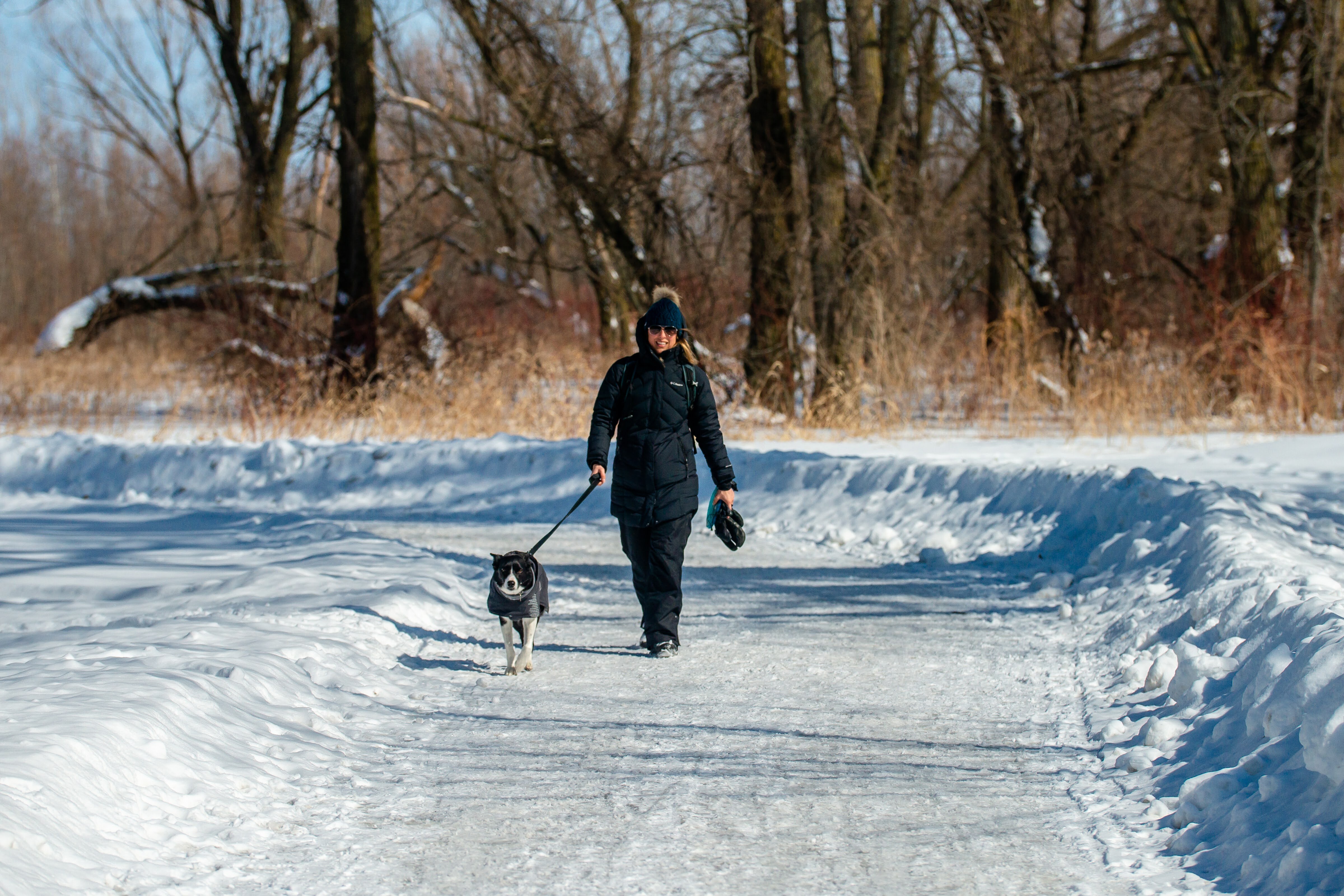 COMM 2022 CR Deny Cardinal Parc Bois Vert Marche Randonnee Chien Hiver