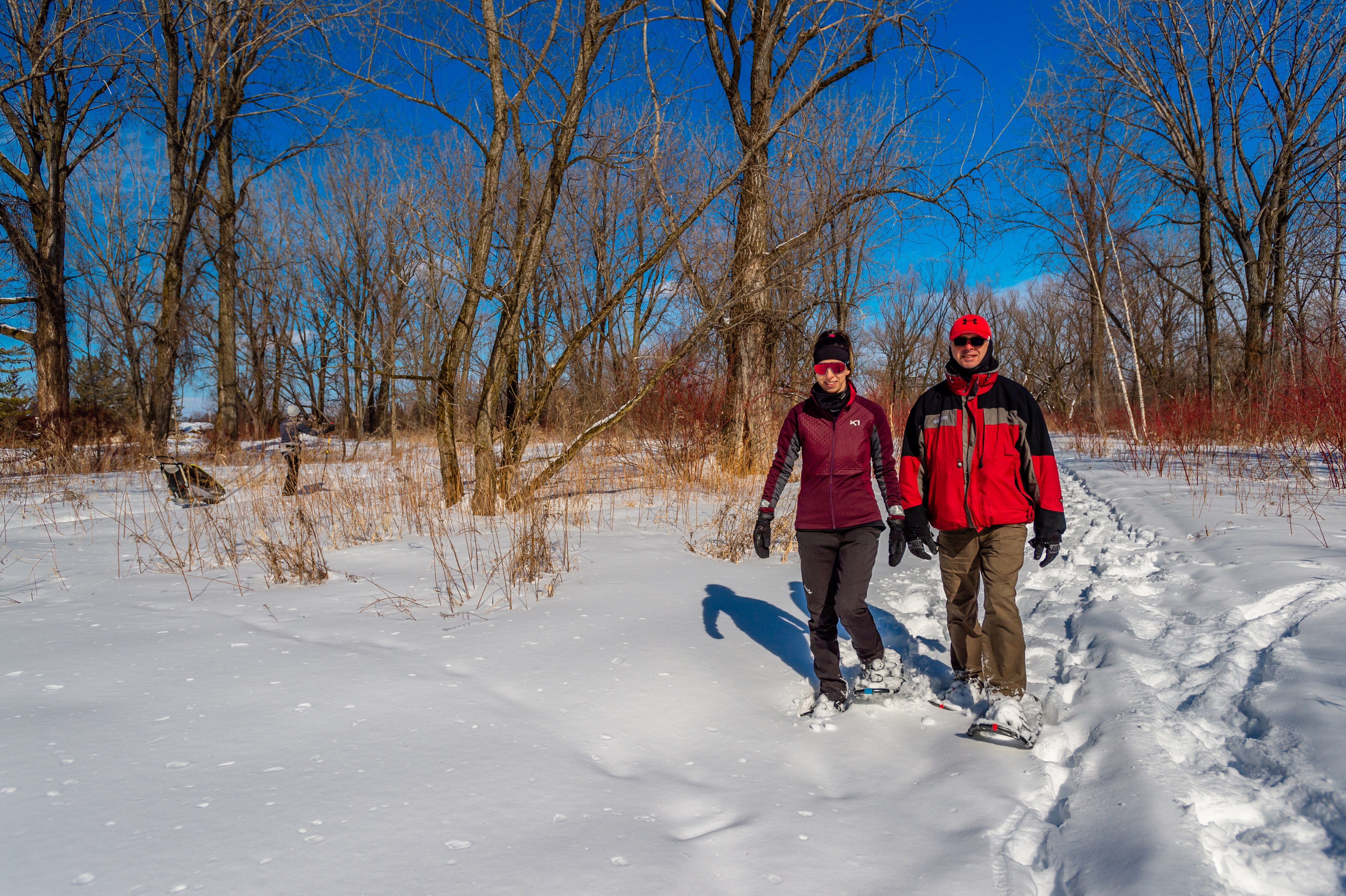 COMM 2022 CR Deny Cardinal Parc Bois Vert Raquette Hiver