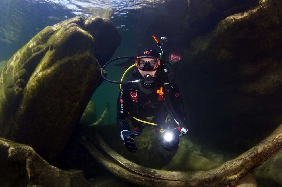Eco Dive plongee