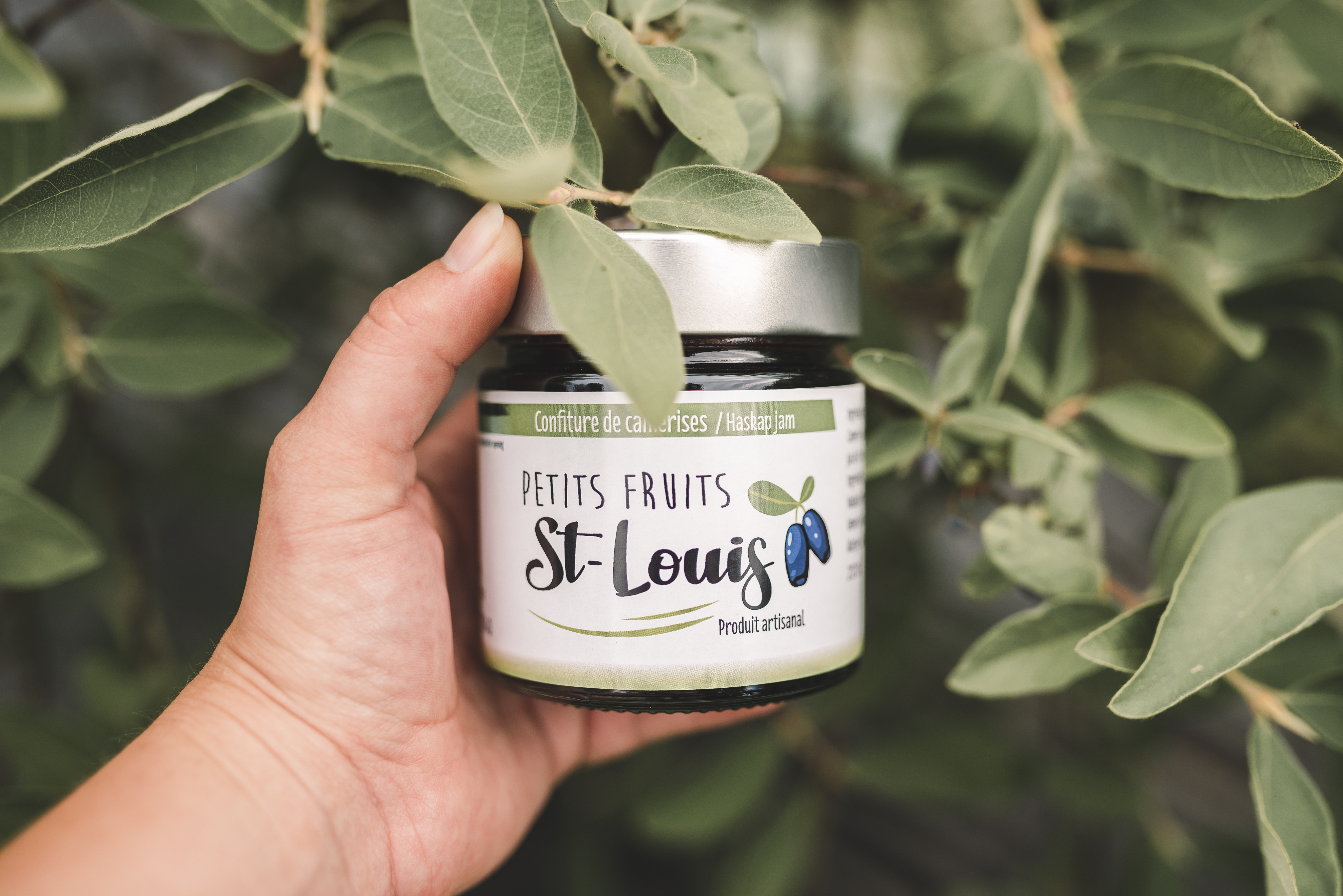 Petits Fruits St Louis3