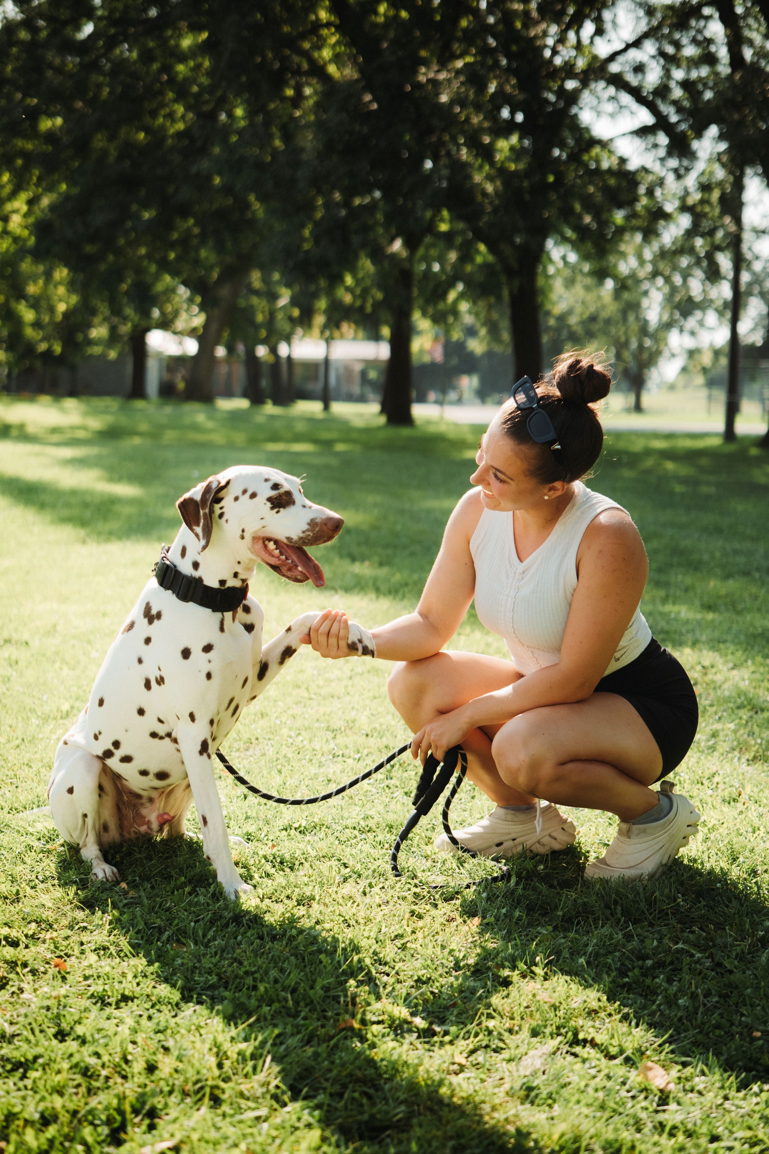 Promenade au parc avec chien Valleyfield