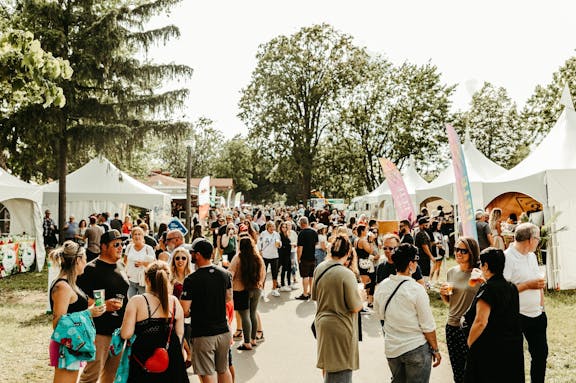Festi bieres